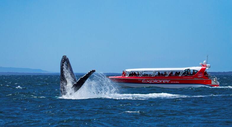 News jervis bay